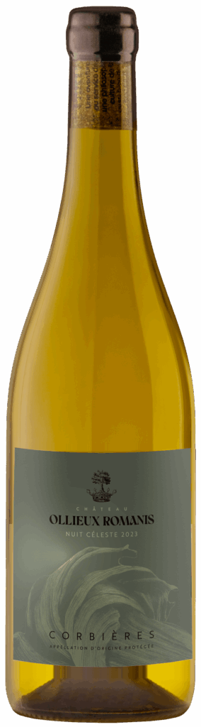 Nuit Céleste