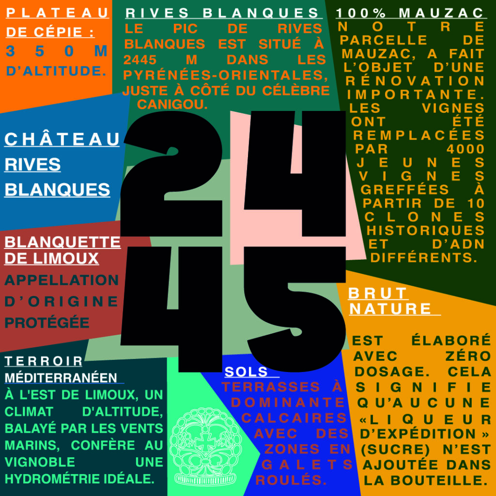 Foulard 2445